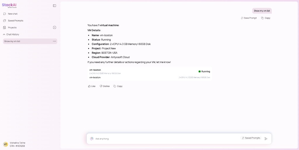 Chat reply listing a running VM with a status card